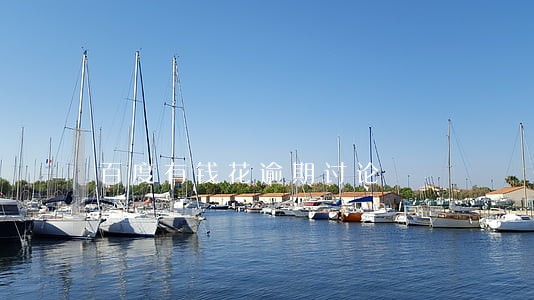 百度有钱花逾期讨论