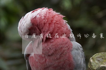 百度有钱花逾期诉讼备案 百度有钱花逾期诉讼备案