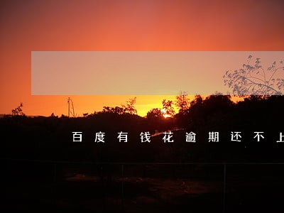 百度有钱花逾期还不上会怎么样