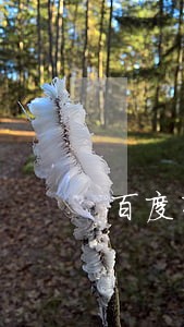 百度有钱花逾期还不了啦