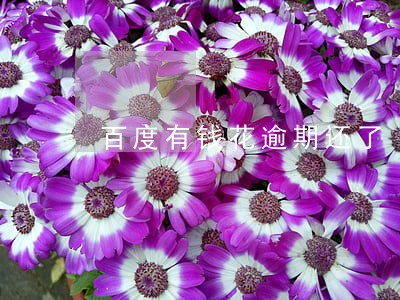 百度有钱花逾期还了
