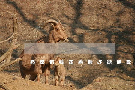 百度有钱花逾期还能借款吗 百度有钱花逾期还能借款吗