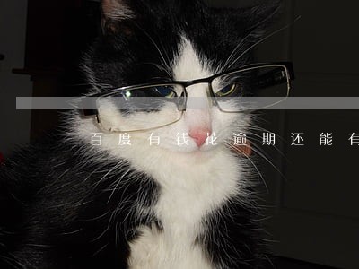 百度有钱花逾期还能有额度吗 百度有钱花逾期还能有额度吗