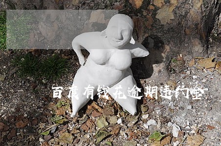 百度有钱花逾期违约金 百度有钱花逾期违约金
