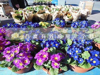 百度有钱逾期三个月