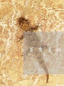 百度有钱逾期会怎么 百度有钱逾期会怎么