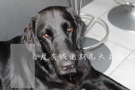百度有钱逾期几天上征信 百度有钱逾期几天上征信