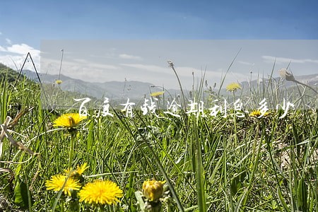 百度有钱逾期利息多少