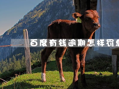 百度有钱逾期怎样罚息 百度有钱逾期怎样罚息