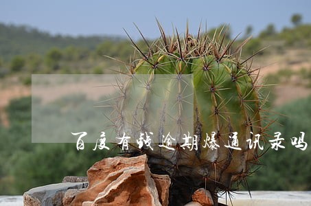 百度有钱逾期爆通讯录吗