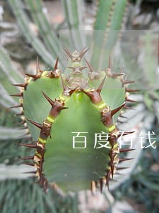百度有钱逾期的后果 百度有钱逾期的后果