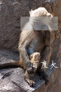 百度欠款逾期严重 百度欠款逾期严重