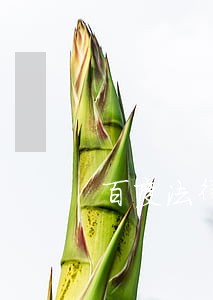 百度法律援助咨询 百度法律援助咨询