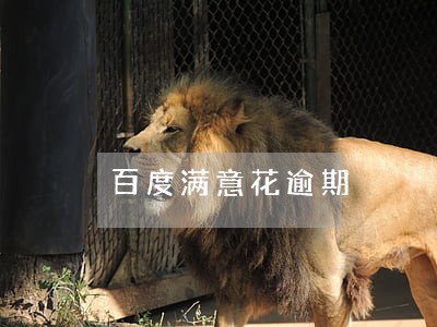 百度满意花逾期