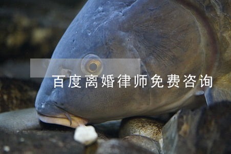 百度离婚律师免费咨询