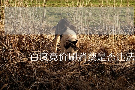 百度竞价刷消费是否违法 百度竞价刷消费是否违法
