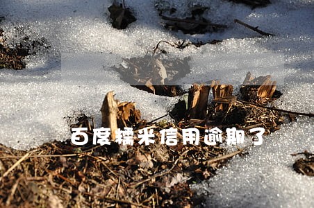 百度糯米信用逾期了 百度糯米信用逾期了