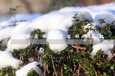 百度糯米贷逾期未还款 百度糯米贷逾期未还款