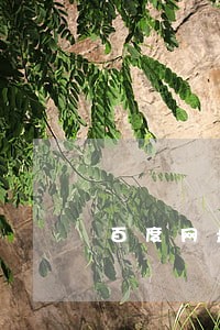 百度网盘分享提示有违法