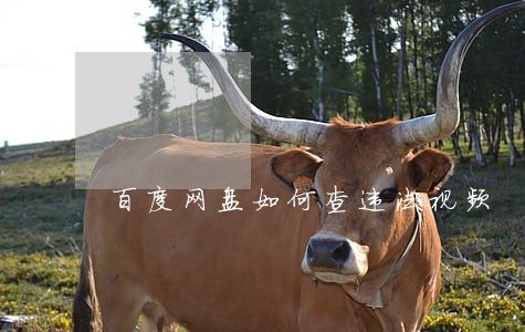 百度网盘如何查违法视频