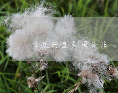 百度网盘美国违法 百度网盘美国违法