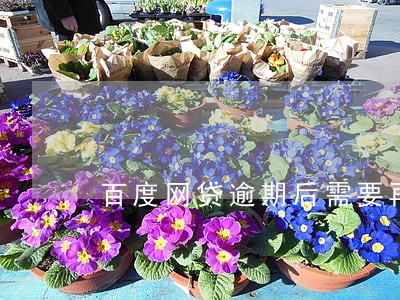 百度网贷逾期后需要再还违约金吗 百度网贷逾期后需要再还违约金吗