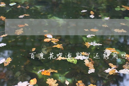 百度花呗逾期了还能用吗 百度花呗逾期了还能用吗