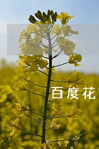 百度花呗逾期怎么查 百度花呗逾期怎么查