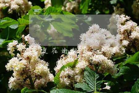 百度花逾期一天扣多少 百度花逾期一天扣多少