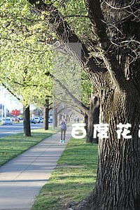 百度花逾期会影响分期购车吗