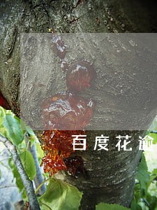 百度花逾期会怎样 百度花逾期会怎样