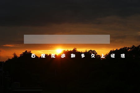 百度花逾期多久上征信 百度花逾期多久上征信