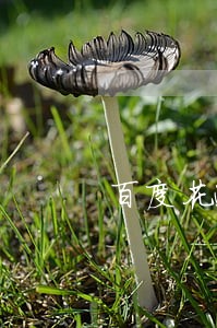 百度花逾期多久爆通讯录 百度花逾期多久爆通讯录