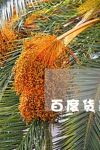 百度货款可以逾期多久 百度货款可以逾期多久