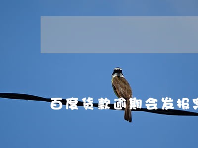 百度货款逾期会发报案通告