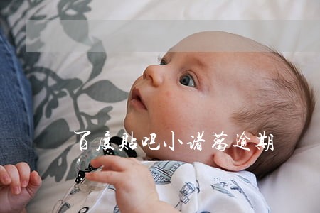 百度贴吧小诸葛逾期 百度贴吧小诸葛逾期