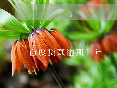 百度贷款逾期1年 百度贷款逾期1年