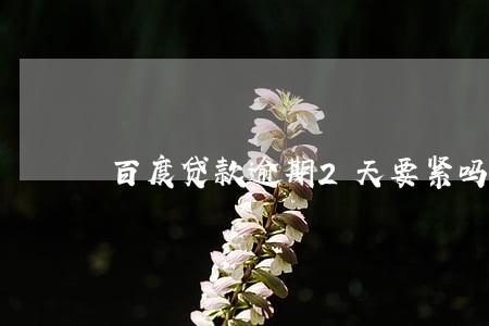 百度贷款逾期2天要紧吗 百度贷款逾期2天要紧吗