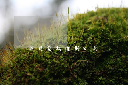 百度贷款逾期3月 百度贷款逾期3月