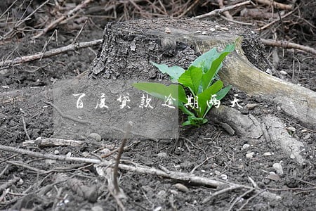百度贷款逾期两天 百度贷款逾期两天