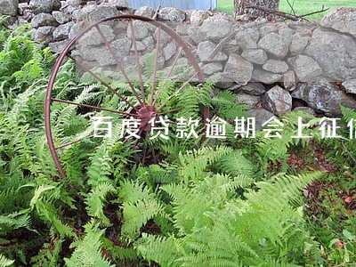 百度贷款逾期会上征信吗 百度贷款逾期会上征信吗
