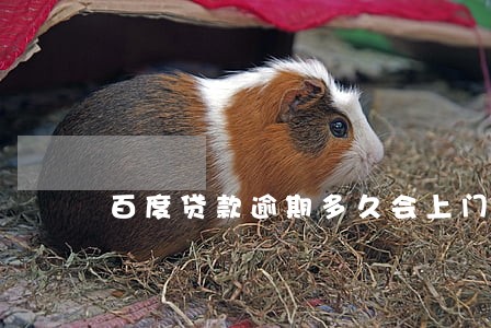 百度贷款逾期多久会上门催收 百度贷款逾期多久会上门催收
