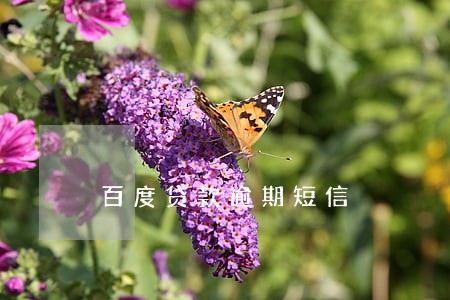 百度贷款逾期短信 百度贷款逾期短信