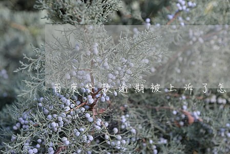 百度贷款逾期被上诉了怎么办 百度贷款逾期被上诉了怎么办
