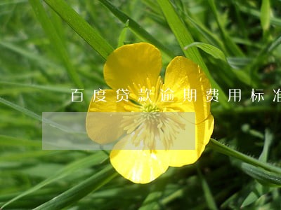 百度贷款逾期费用标准 百度贷款逾期费用标准