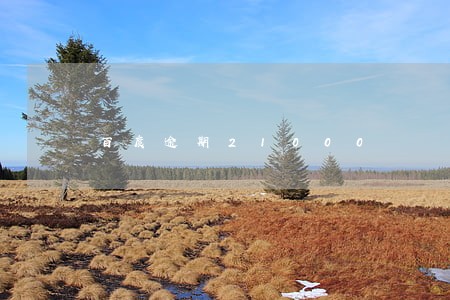 百度逾期21000 百度逾期21000