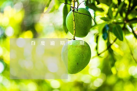 百度逾期3期 百度逾期3期