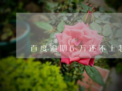 百度逾期6万还不上怎么办 百度逾期6万还不上怎么办