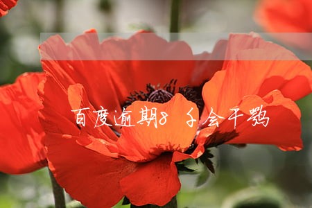百度逾期8千会干嘛 百度逾期8千会干嘛