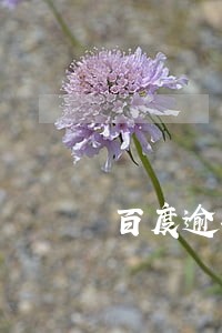 百度逾期一个月 百度逾期一个月